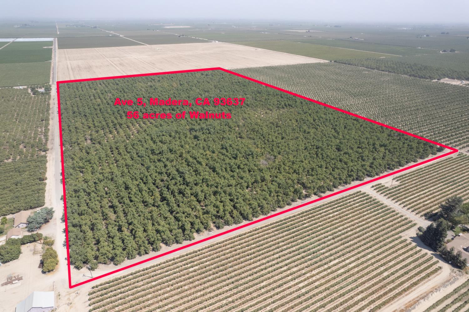 24290 Avenue 5, Madera, CA 93637