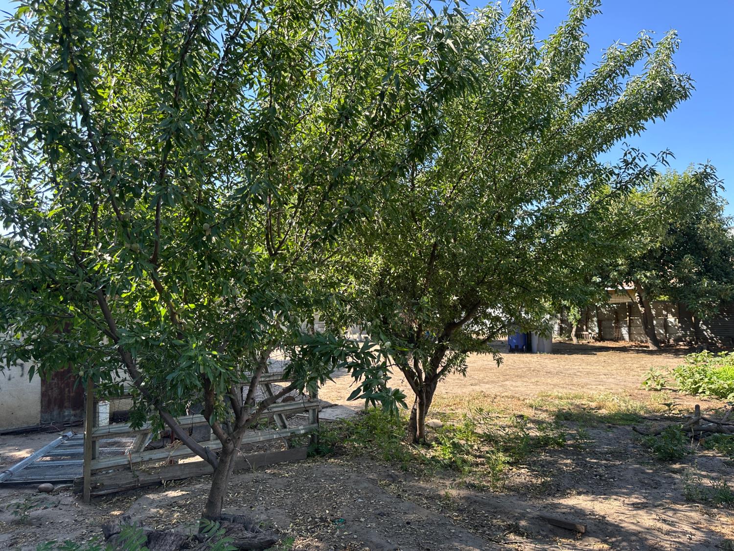 809 Washington Ave, Madera, CA 93638