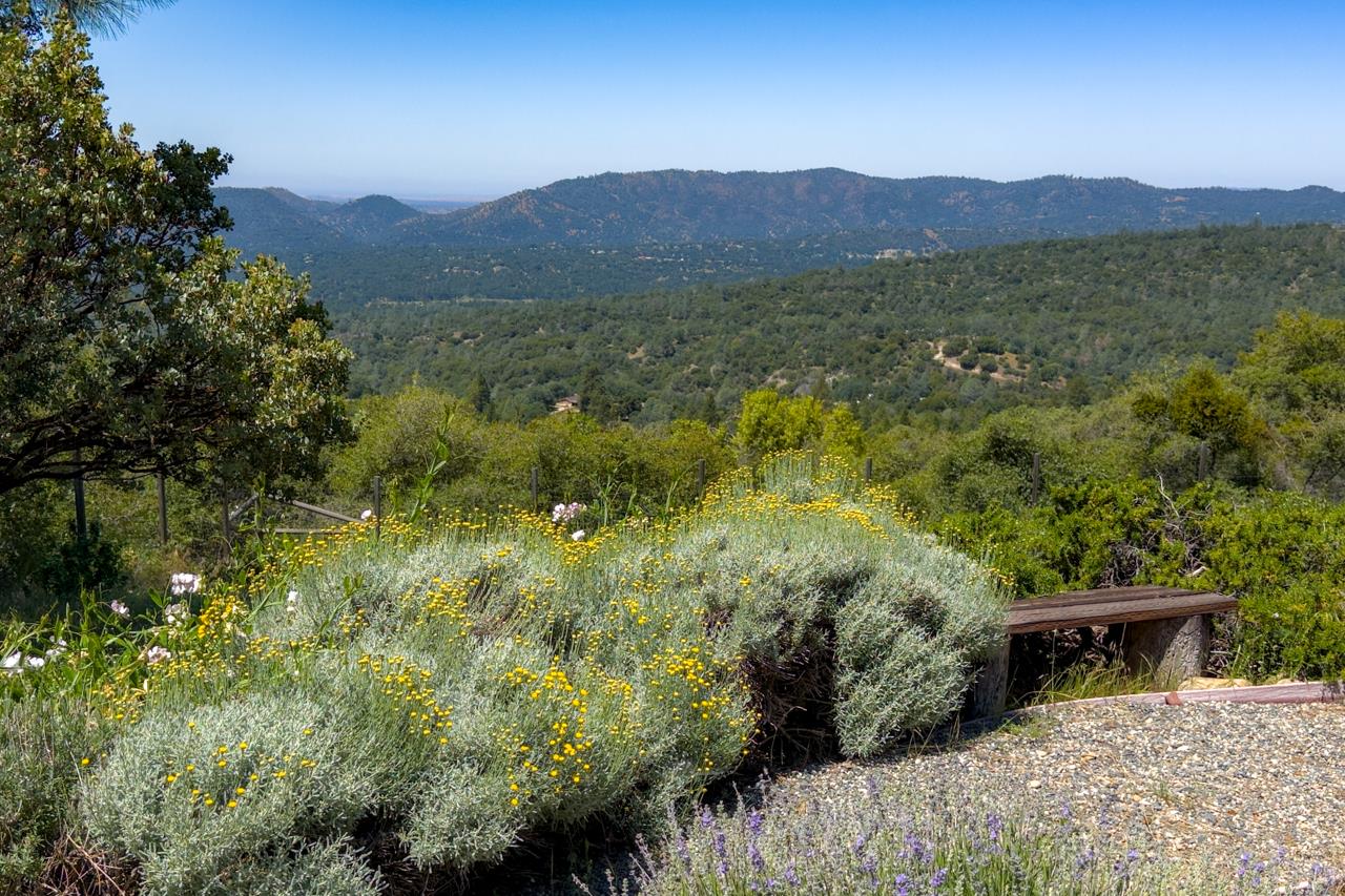 43016 Sunshine Mountain Rd, Oakhurst, CA 93644