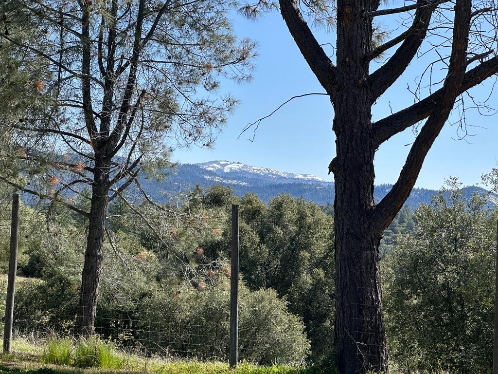 43016 Sunshine Mountain Rd, Oakhurst, CA 93644