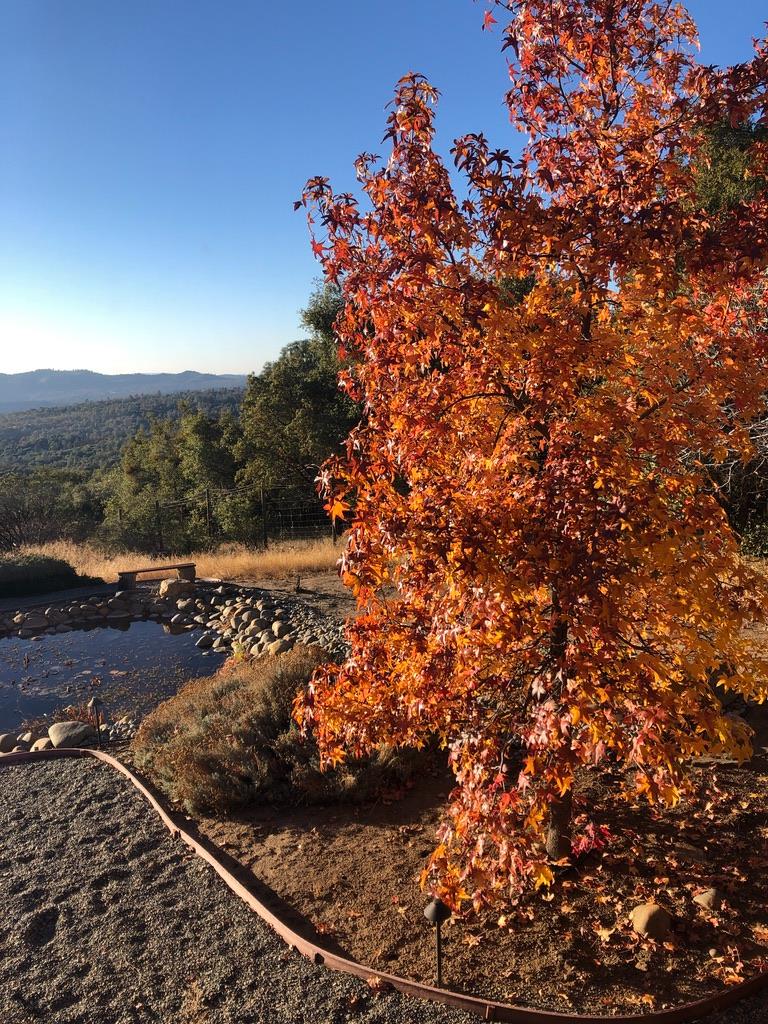 43016 Sunshine Mountain Rd, Oakhurst, CA 93644