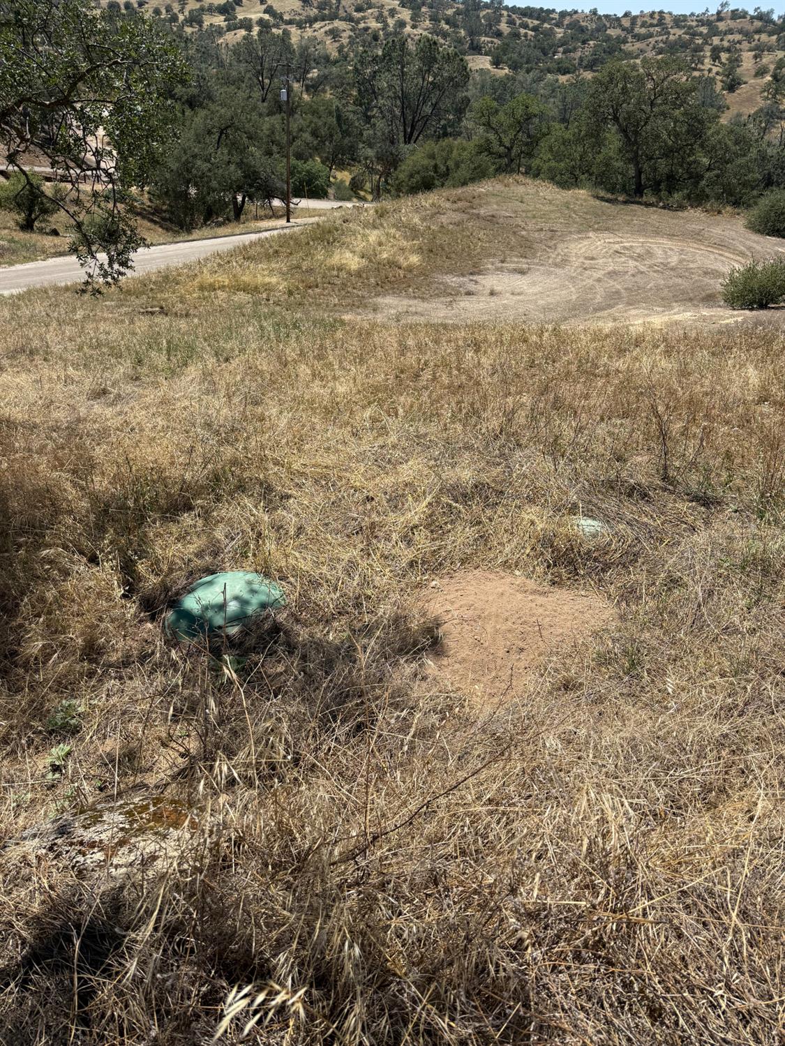 0 0 Shannon Rd, Madera, CA 93636