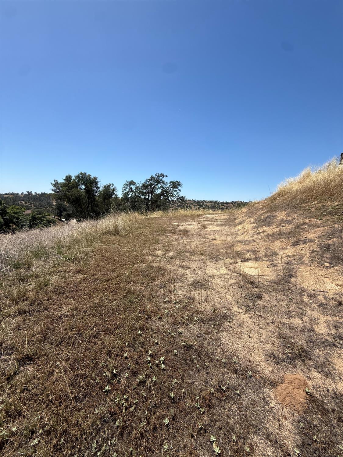0 0 Shannon Rd, Madera, CA 93636