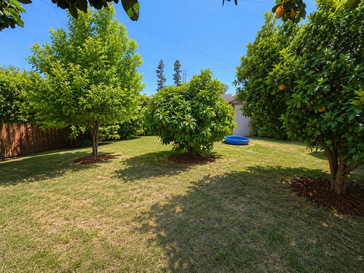 2846 Cedar, Fresno, CA 93703