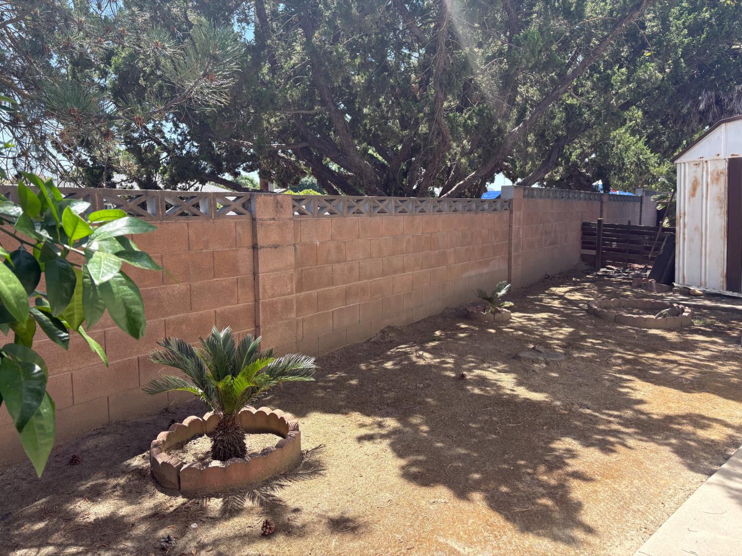 1300 W Olson Ave #127, Reedley, CA 93654