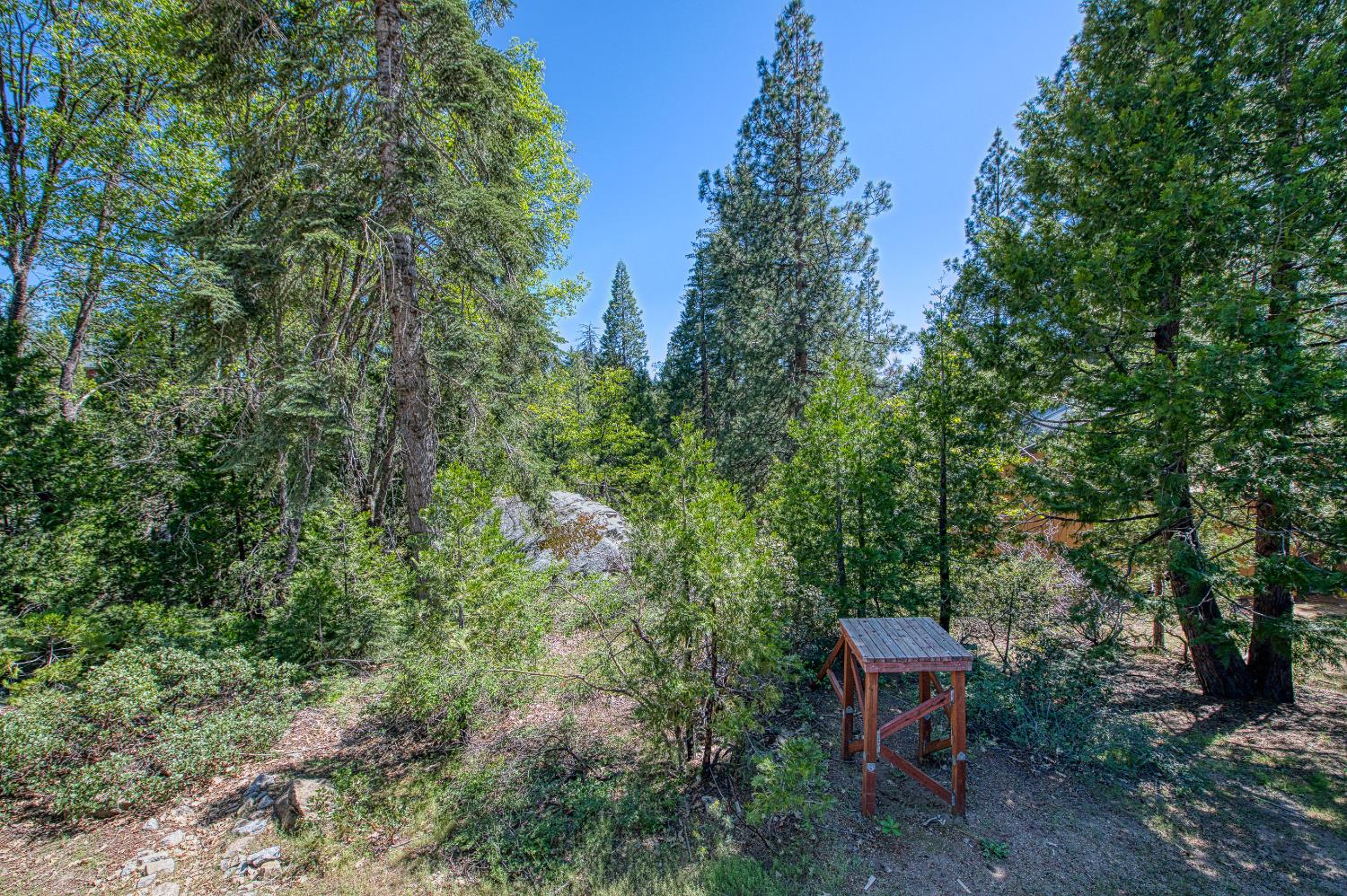 40782 Village Pass Ln, Shaver Lake, CA 93664