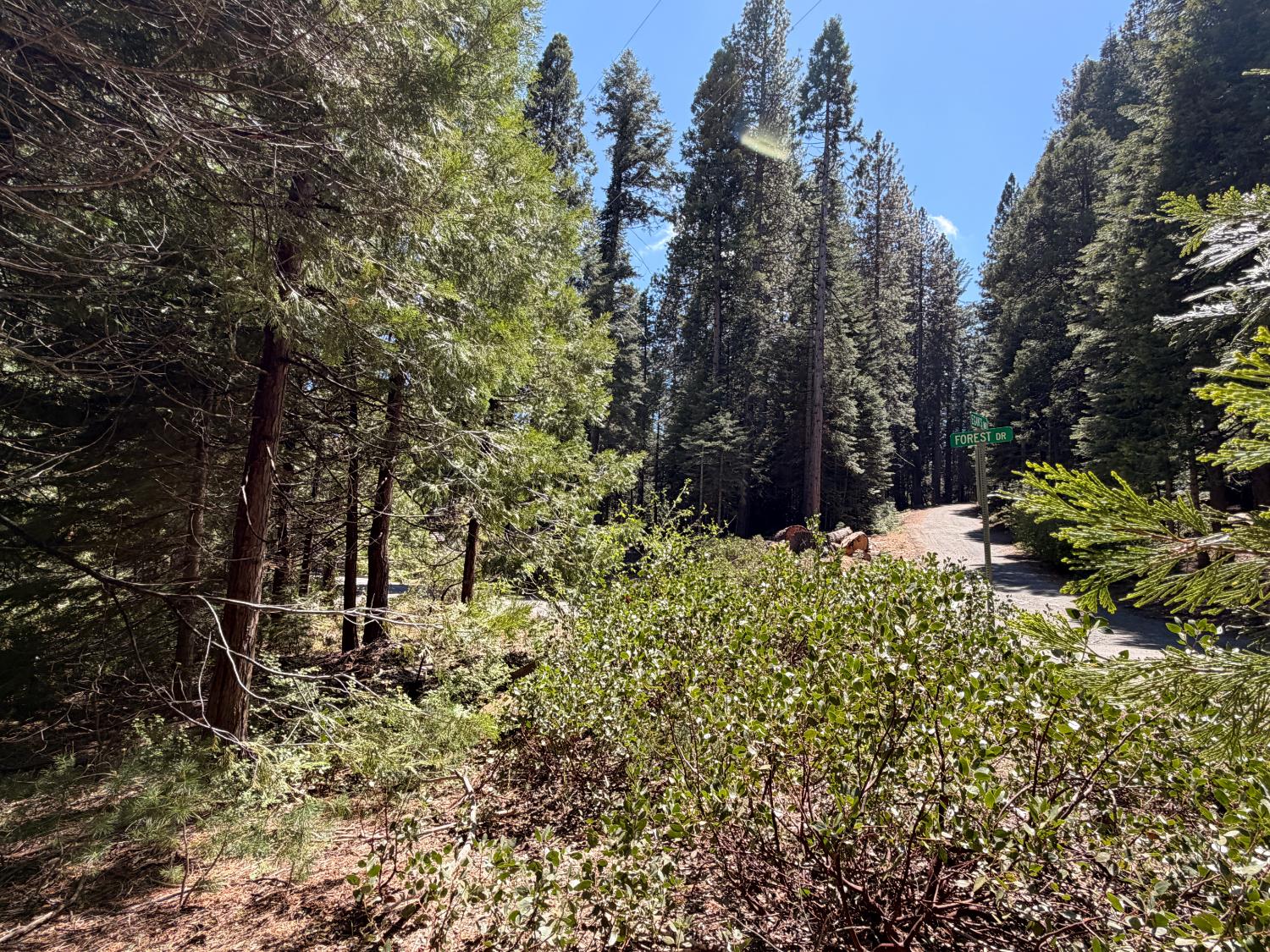 7631 Forest Dr, Fish Camp, CA 93623