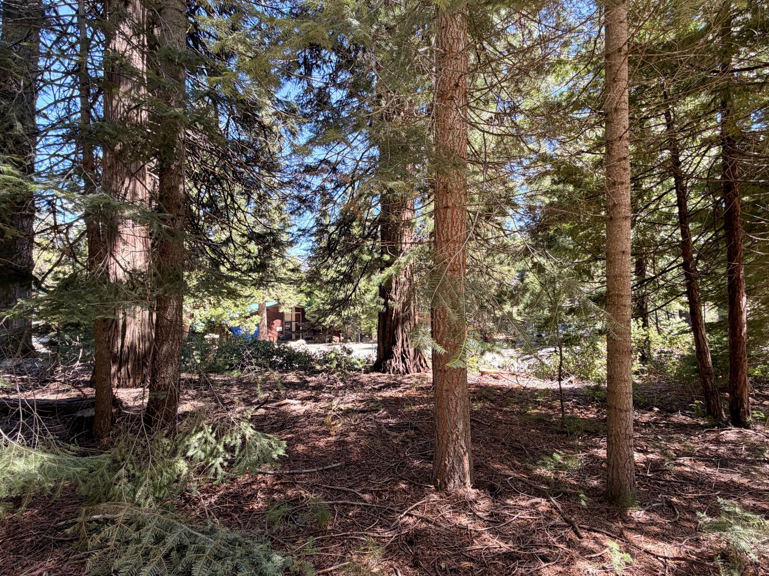 7631 Forest Dr, Fish Camp, CA 93623