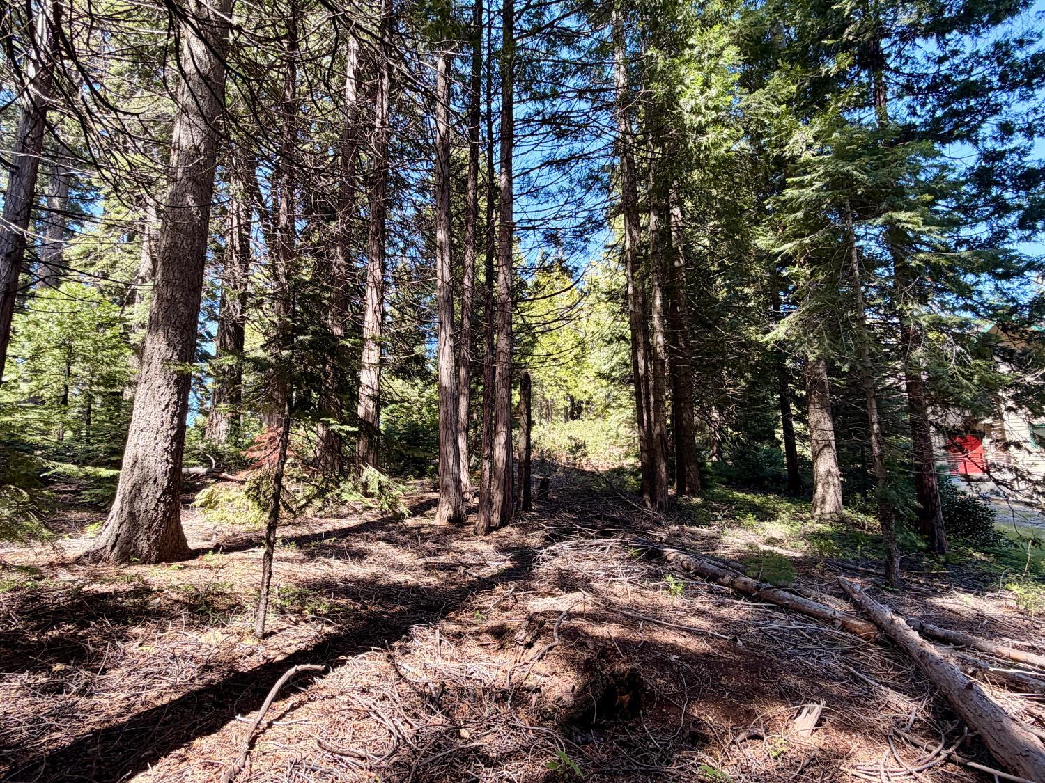 7631 Forest Dr, Fish Camp, CA 93623