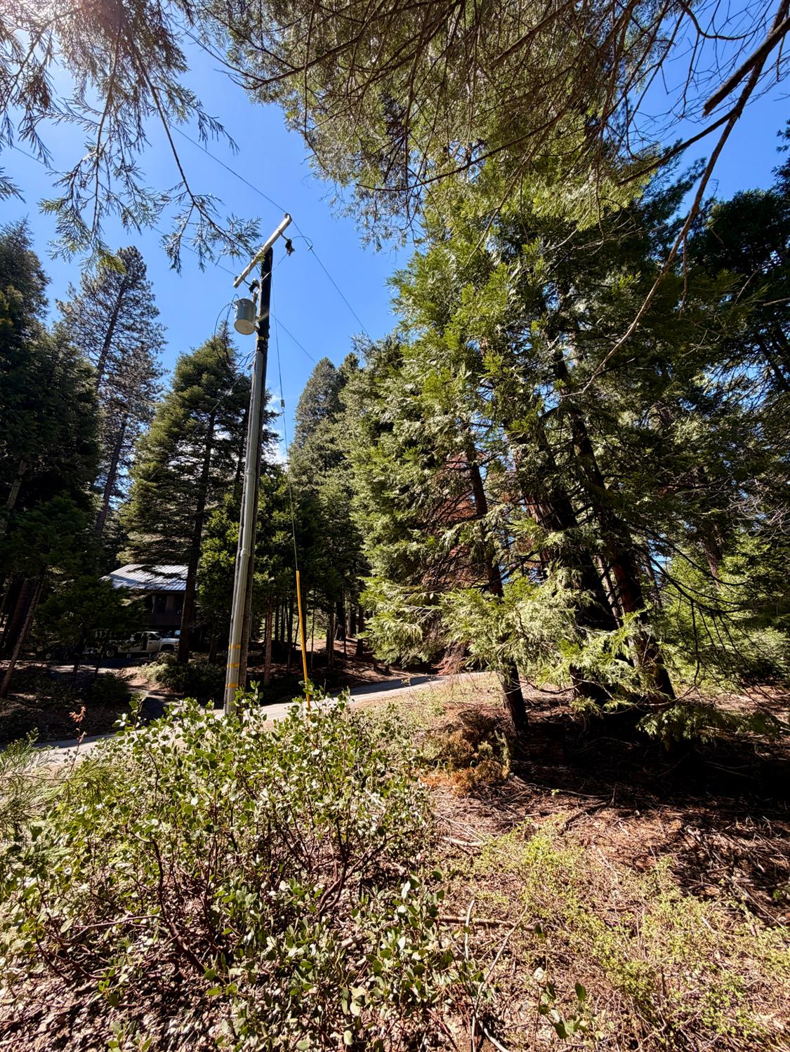 7631 Forest Dr, Fish Camp, CA 93623