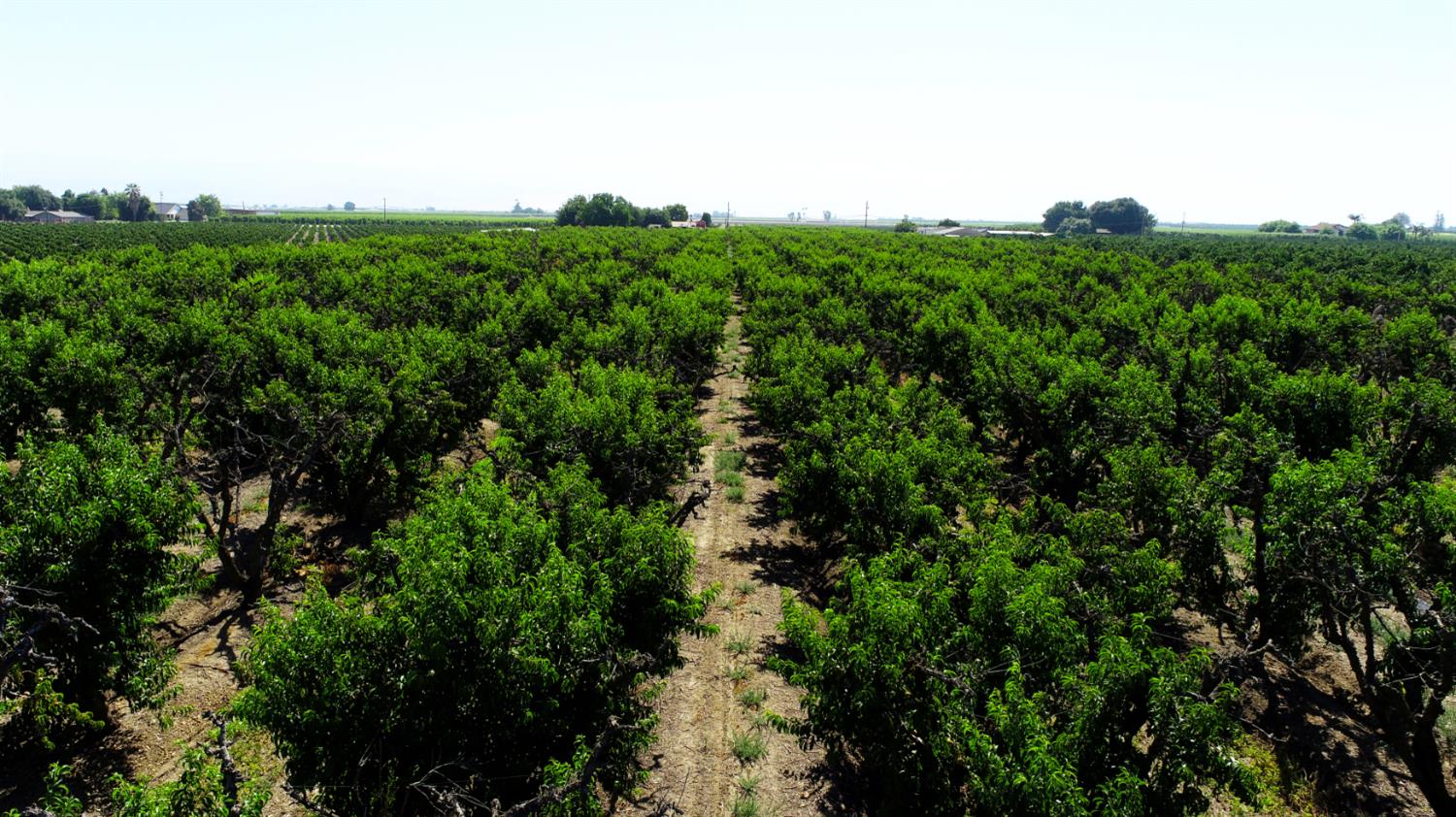 38787 Road 74, Dinuba, CA 93618