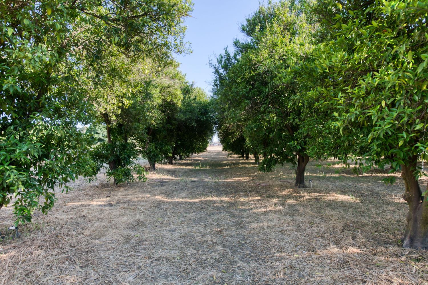 6691 E Olive Ave, Fresno, CA 93727
