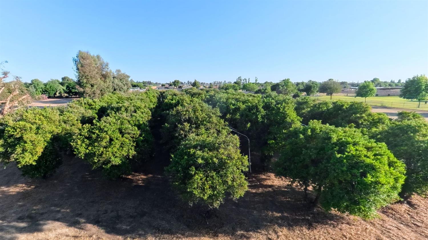6691 E Olive Ave, Fresno, CA 93727