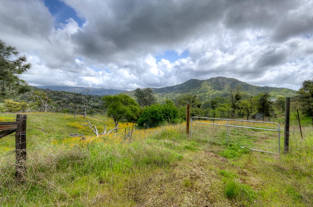 9 Pennyroyal, Prather, CA 93651