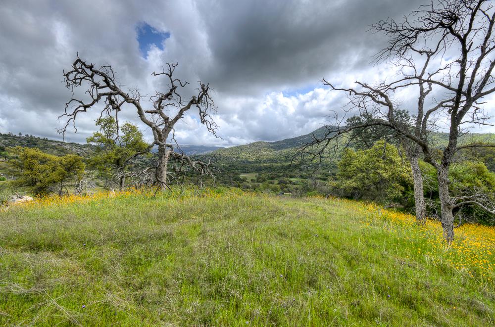 9 Pennyroyal, Prather, CA 93651