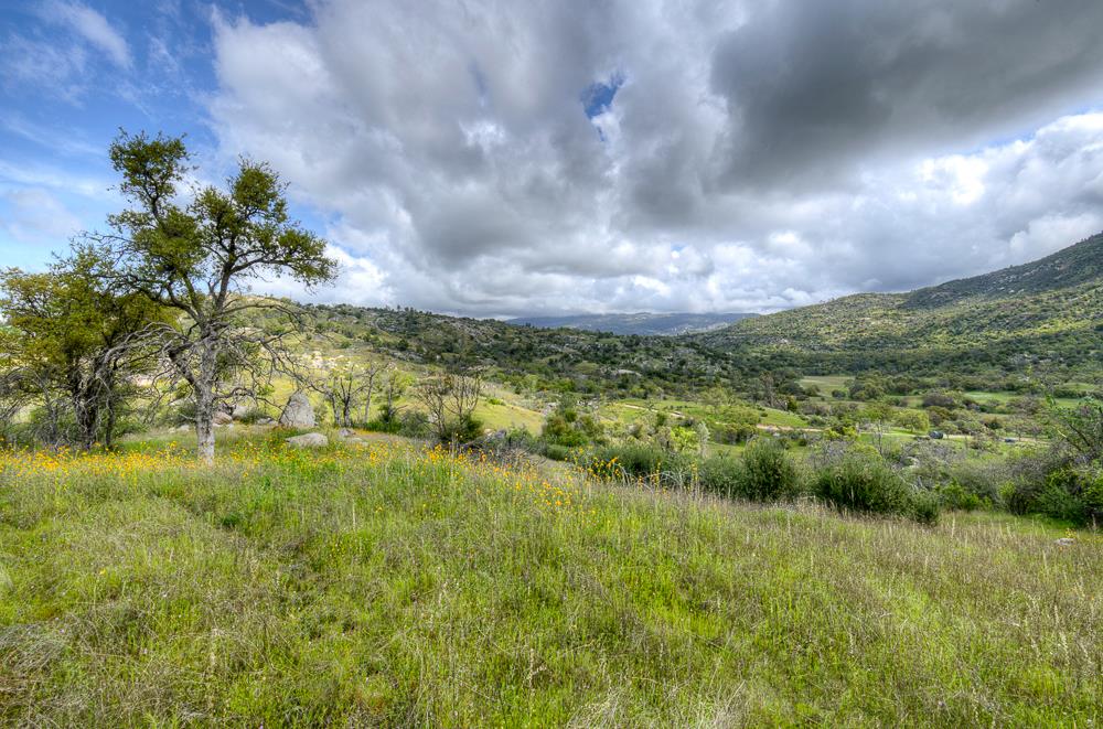 9 Pennyroyal, Prather, CA 93651