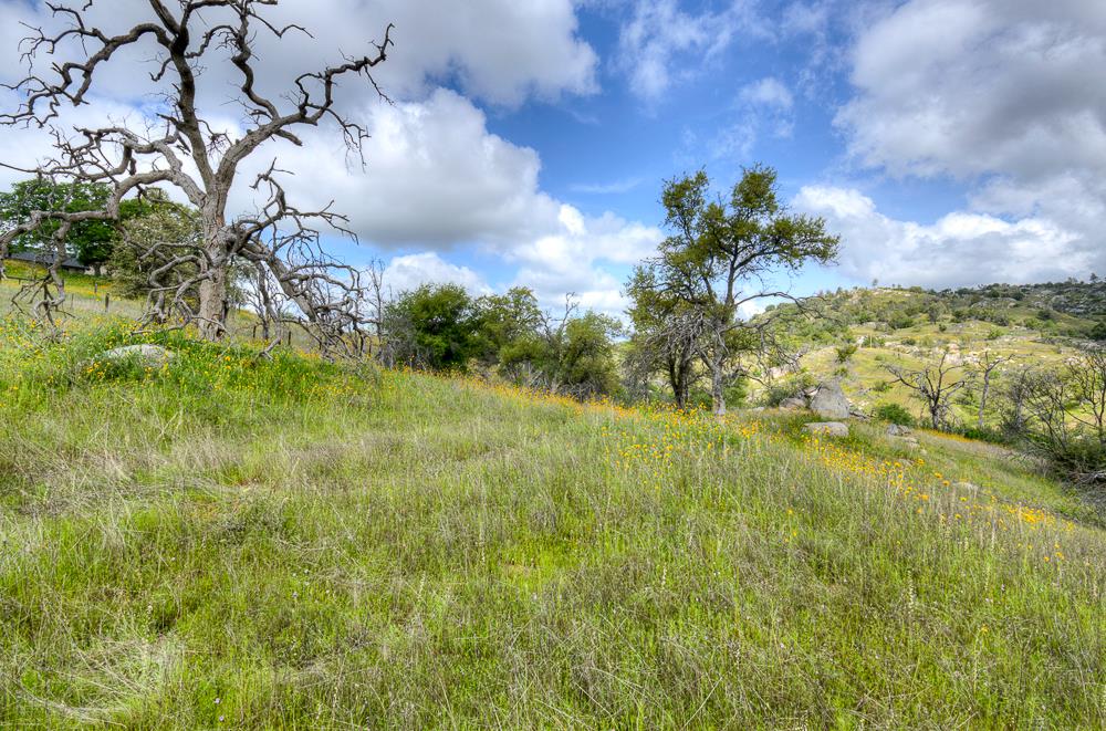 9 Pennyroyal, Prather, CA 93651