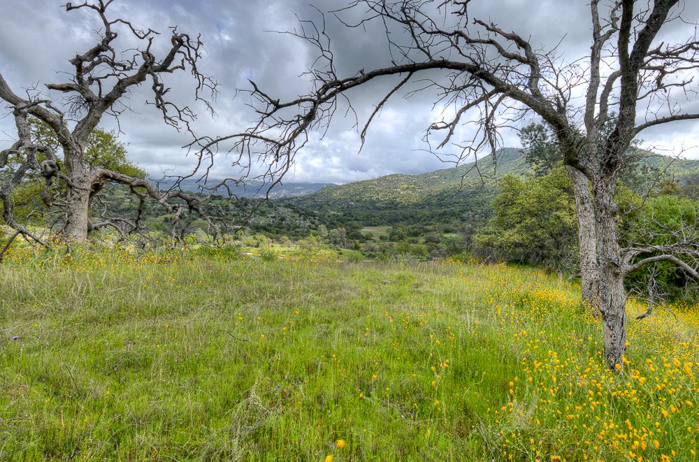 9 Pennyroyal, Prather, CA 93651