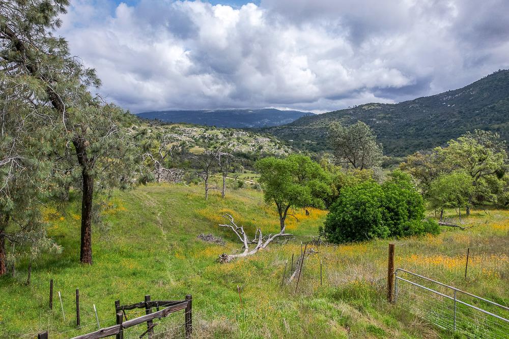 9 Pennyroyal, Prather, CA 93651