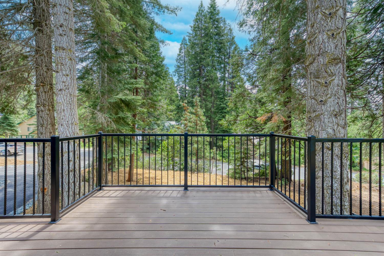 39484 Crest Point Ln, Shaver Lake, CA 93664
