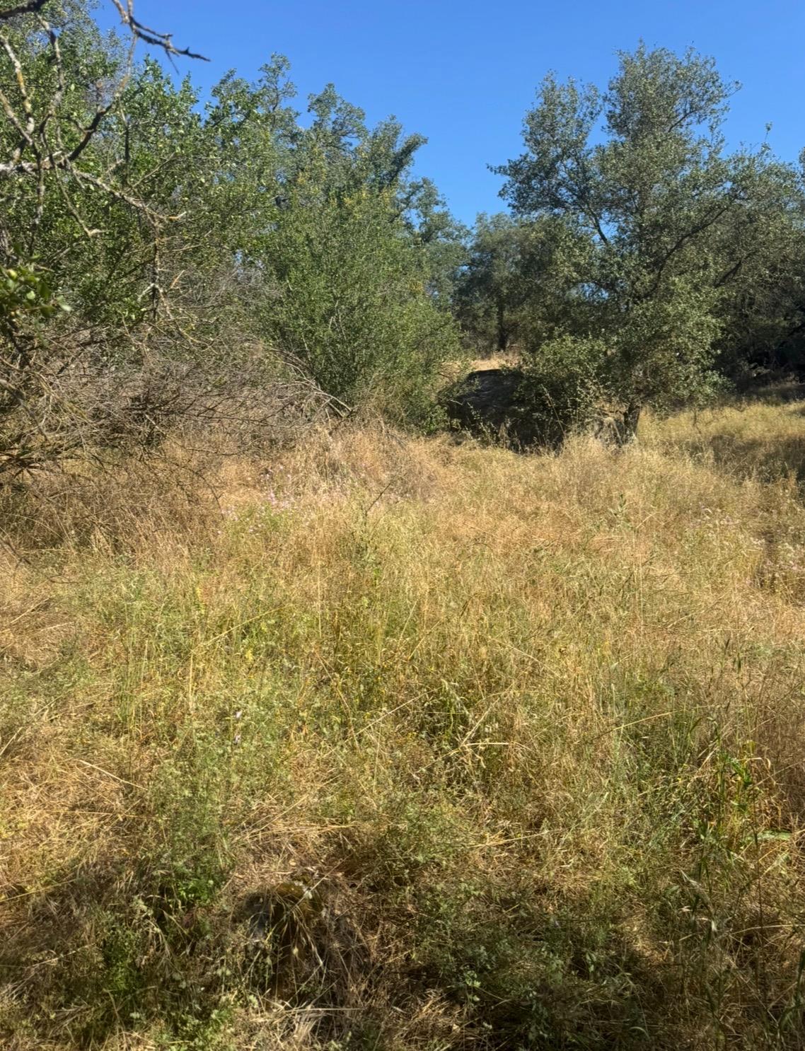 28595 Copper Creek Dr, Coarsegold, CA 93614