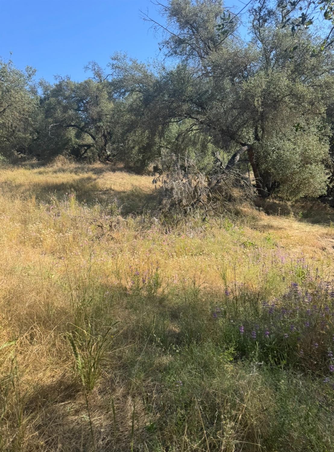 28595 Copper Creek Dr, Coarsegold, CA 93614