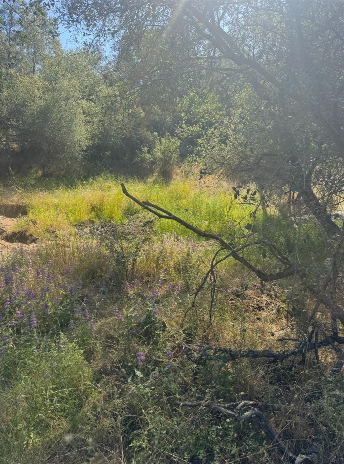 28595 Copper Creek Dr, Coarsegold, CA 93614