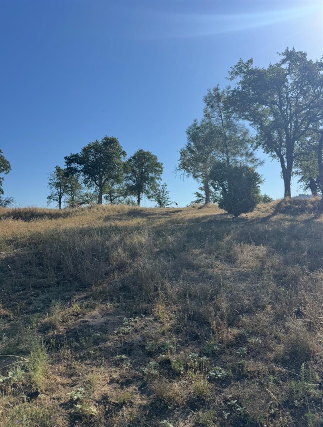 0 0 Titan Dr, Coarsegold, CA 93614