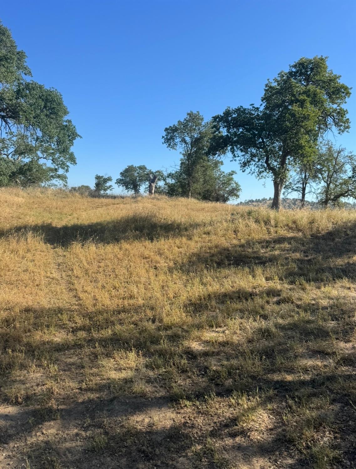 0 0 Titan Dr, Coarsegold, CA 93614