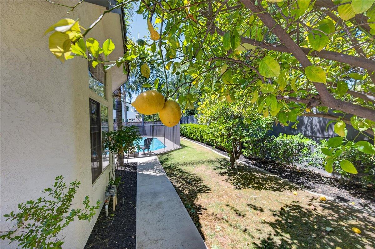 1306 E Valley Forge Dr, Fresno, CA 93720