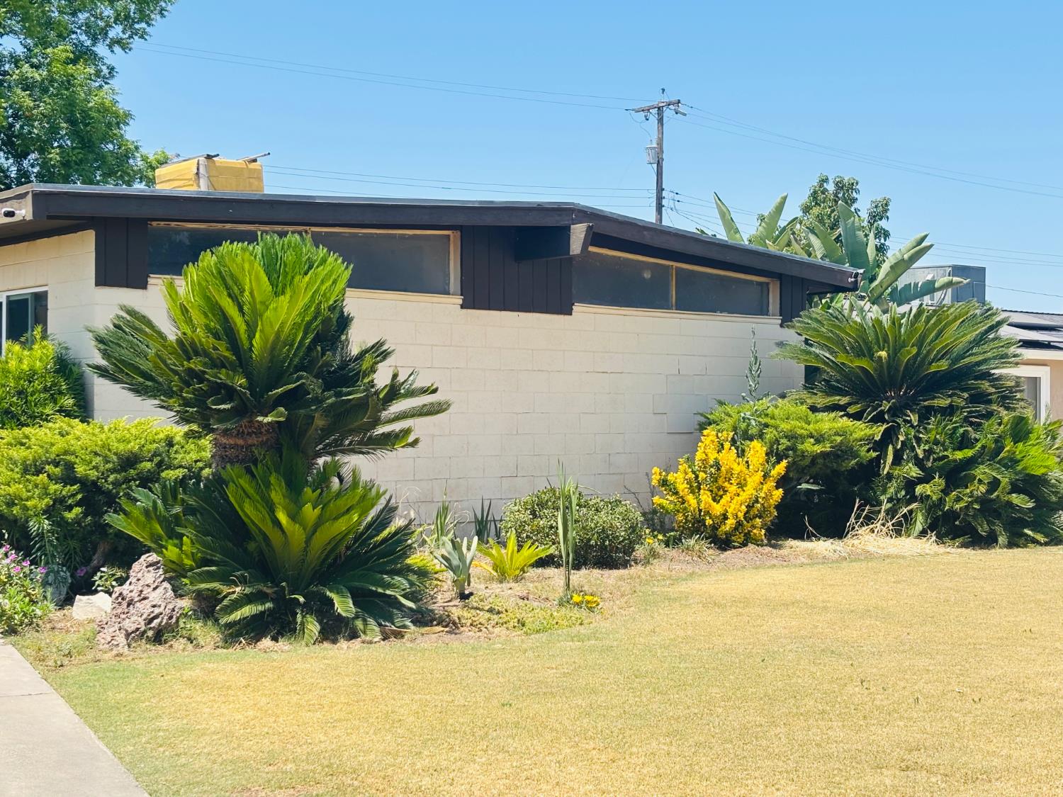 1153 N Pecan Ave, Reedley, CA 93654