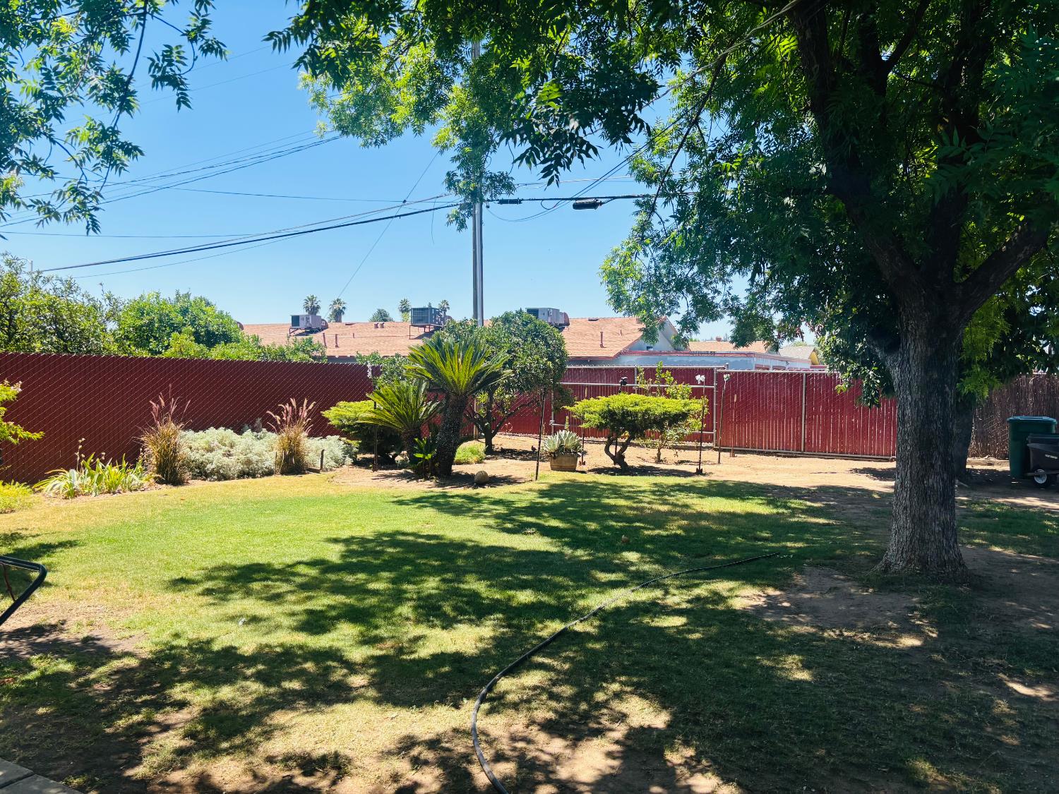 1153 N Pecan Ave, Reedley, CA 93654