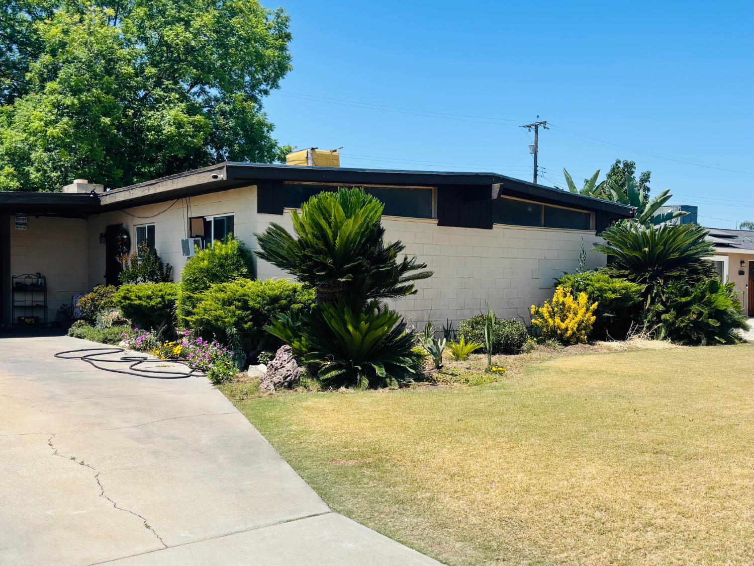 1153 N Pecan Ave, Reedley, CA 93654