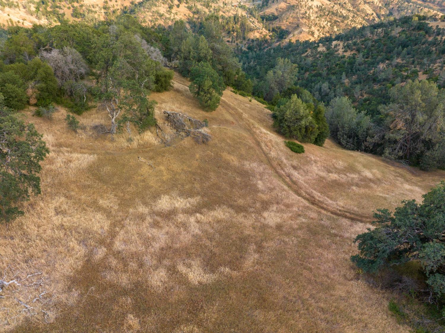 13 Lazy L Summit Rd, Coarsegold, CA 93614
