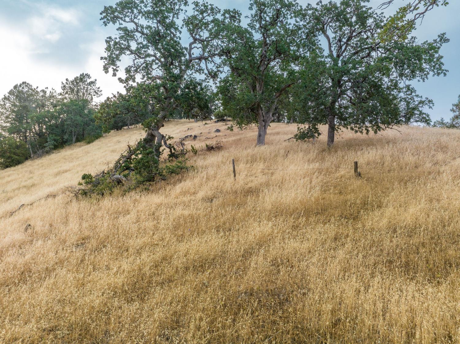 13 Lazy L Summit Rd, Coarsegold, CA 93614