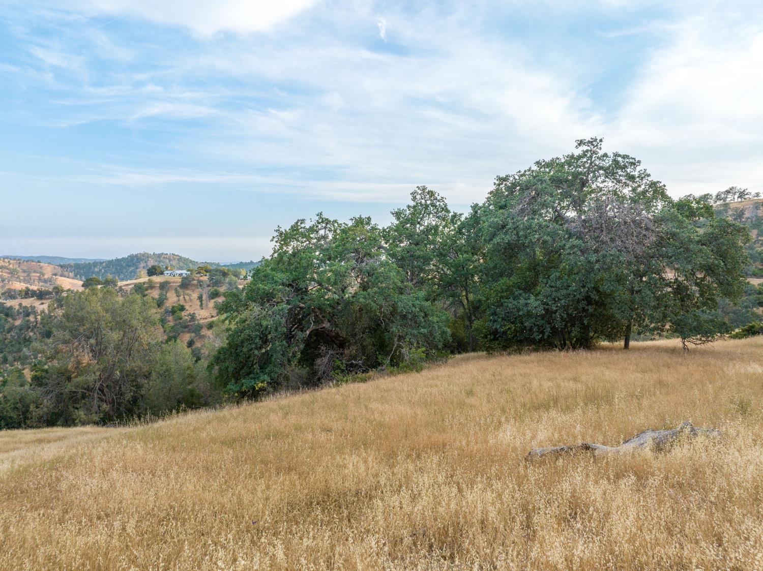 13 Lazy L Summit Rd, Coarsegold, CA 93614