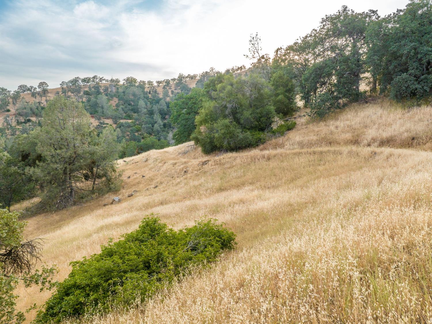 13 Lazy L Summit Rd, Coarsegold, CA 93614