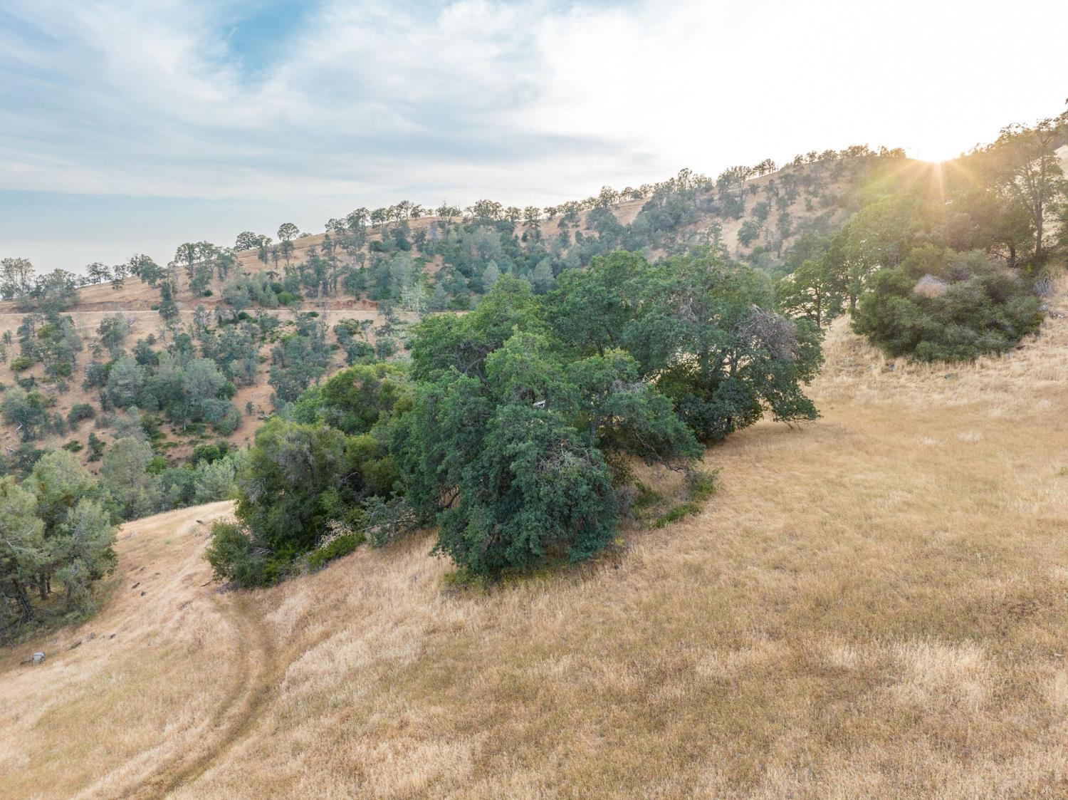 13 Lazy L Summit Rd, Coarsegold, CA 93614