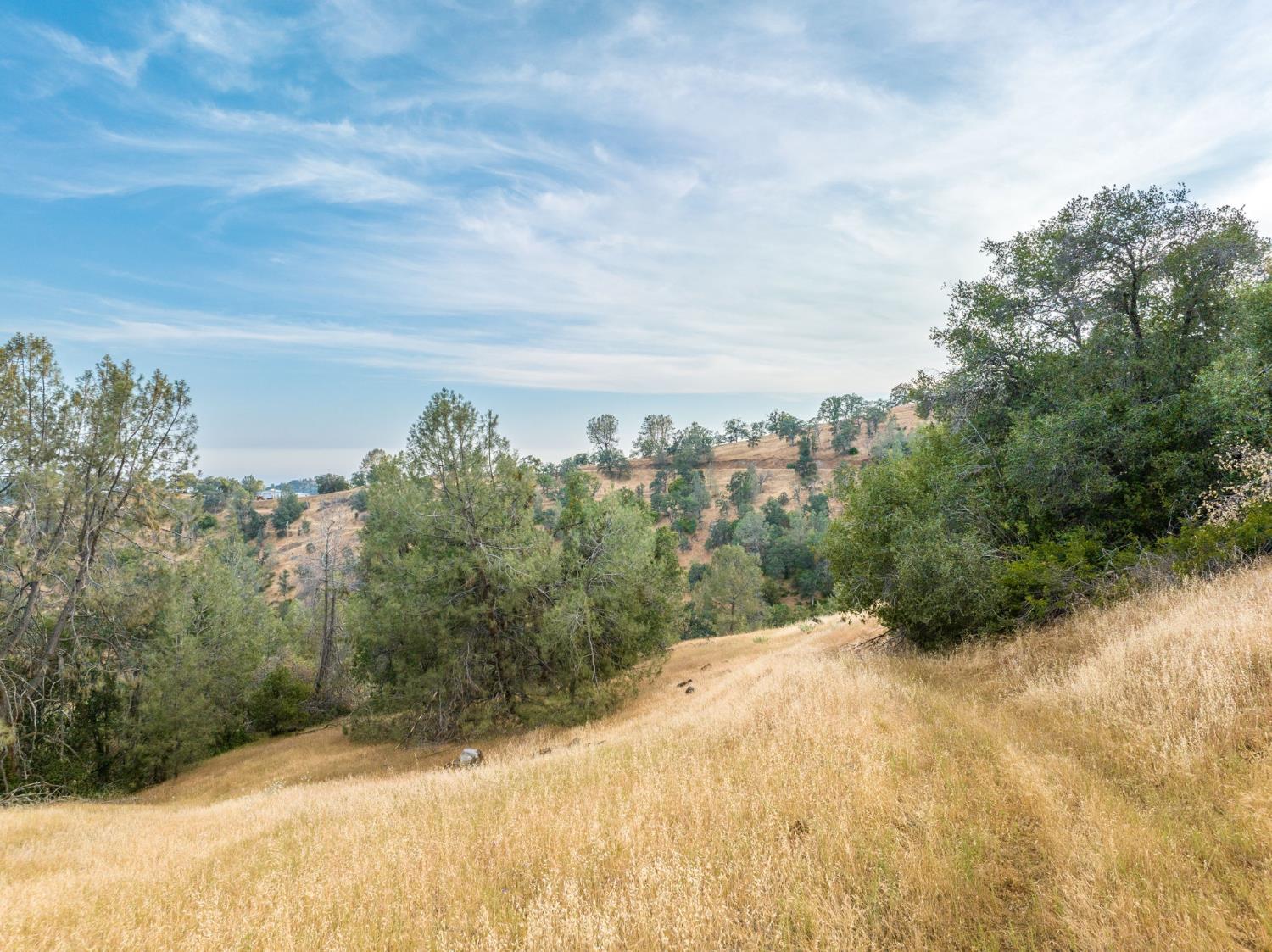 13 Lazy L Summit Rd, Coarsegold, CA 93614