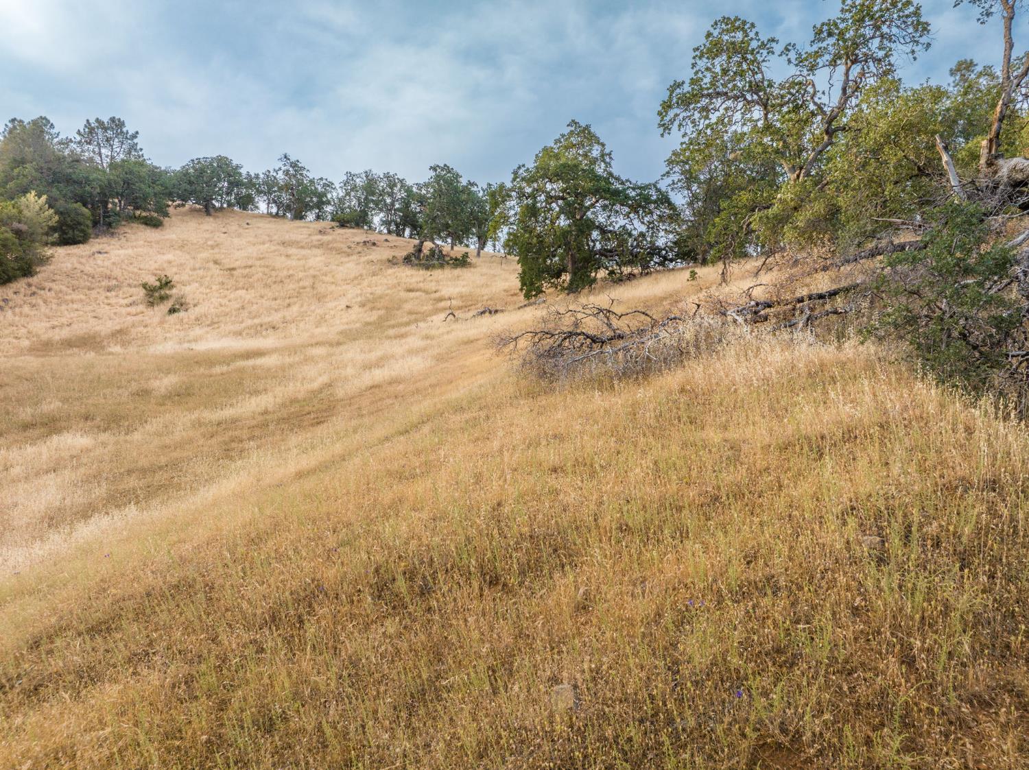 13 Lazy L Summit Rd, Coarsegold, CA 93614