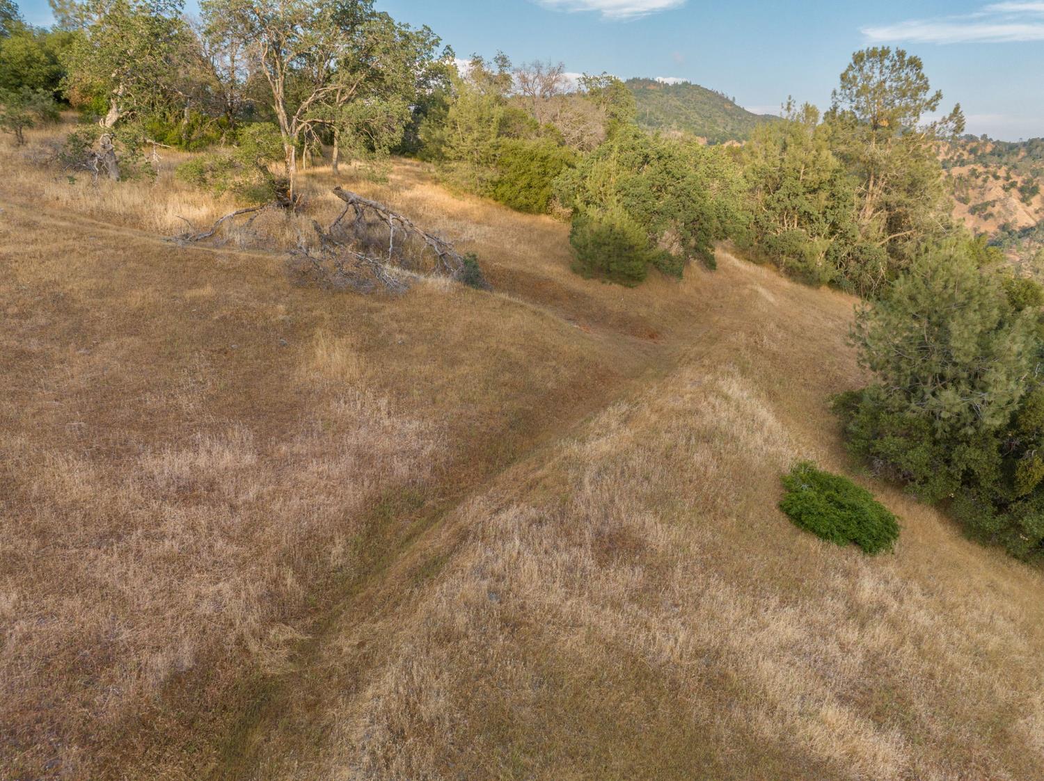 13 Lazy L Summit Rd, Coarsegold, CA 93614