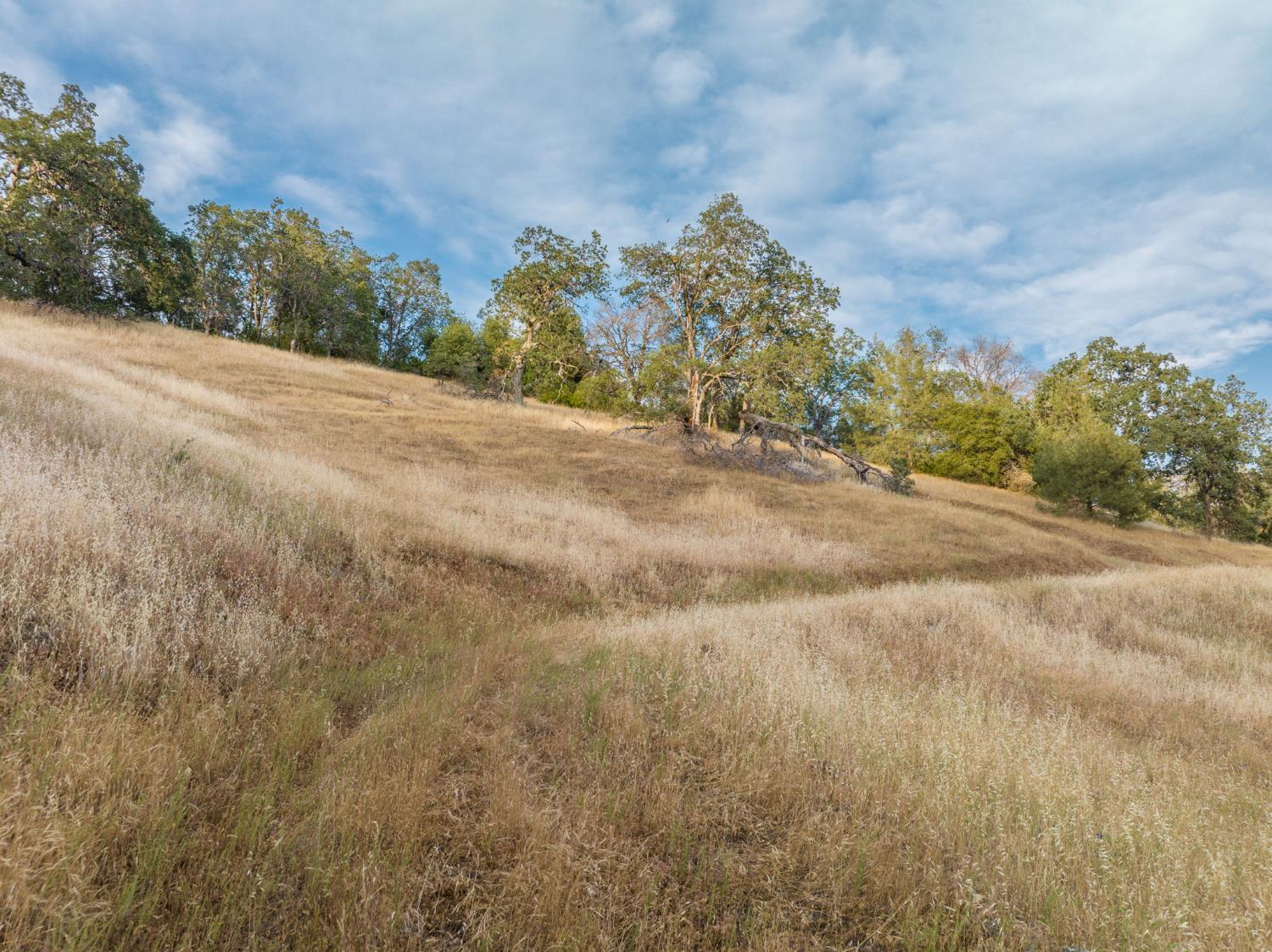 13 Lazy L Summit Rd, Coarsegold, CA 93614