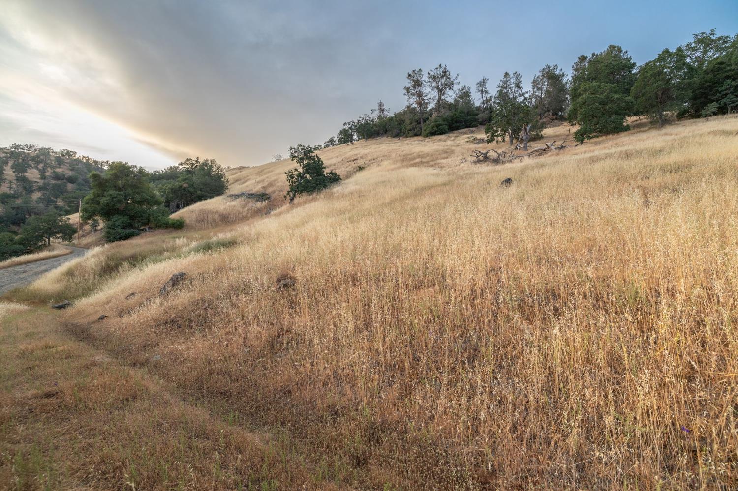 13 Lazy L Summit Rd, Coarsegold, CA 93614
