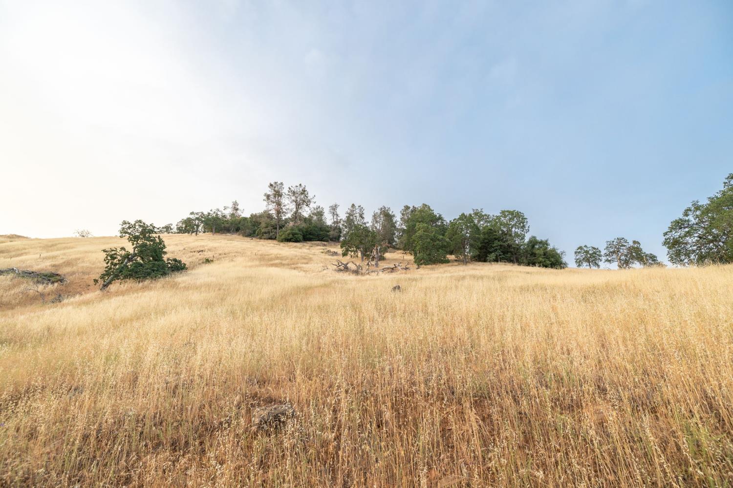 13 Lazy L Summit Rd, Coarsegold, CA 93614