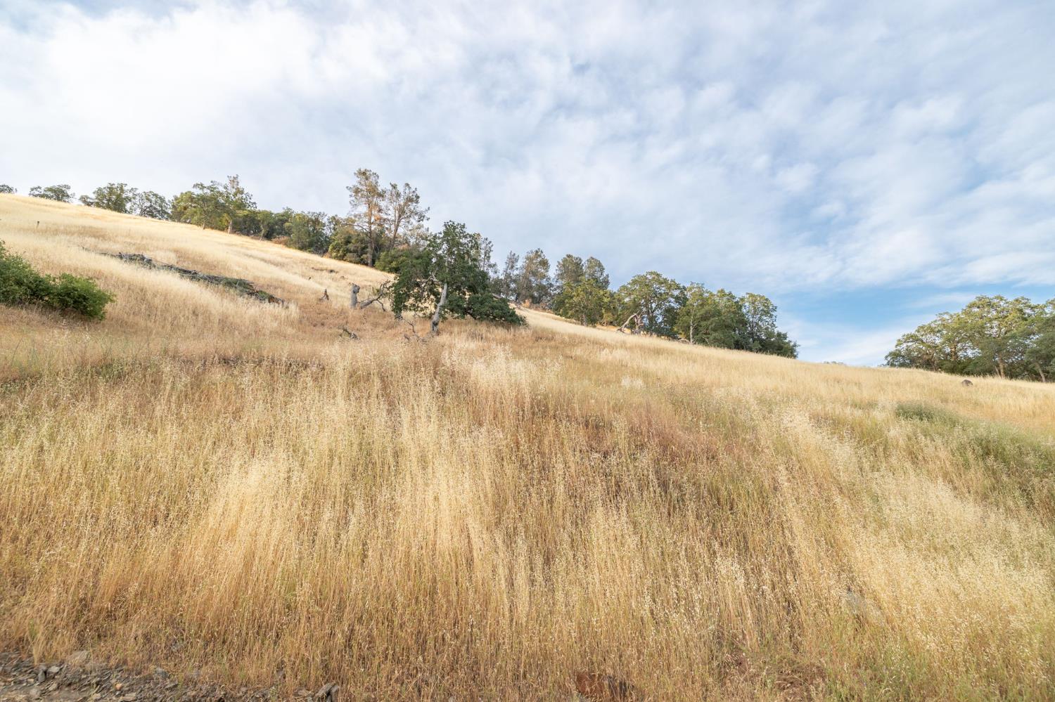 13 Lazy L Summit Rd, Coarsegold, CA 93614