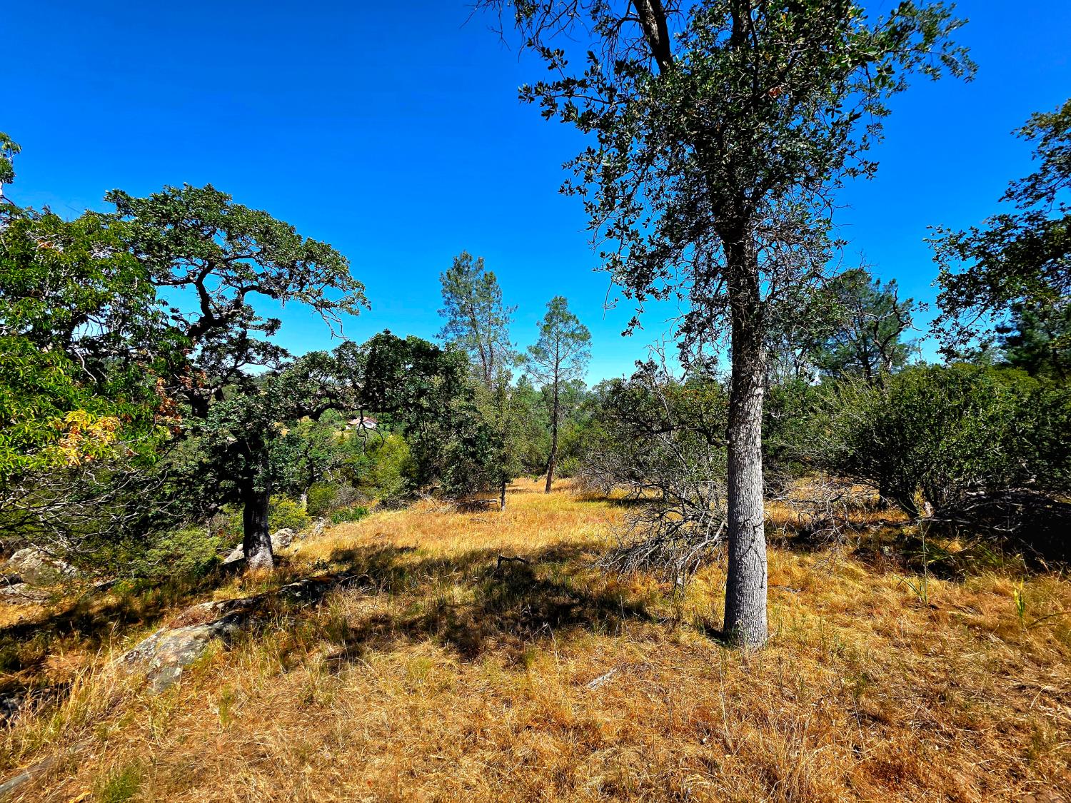 2 Corral Dr, Coarsegold, CA 93614
