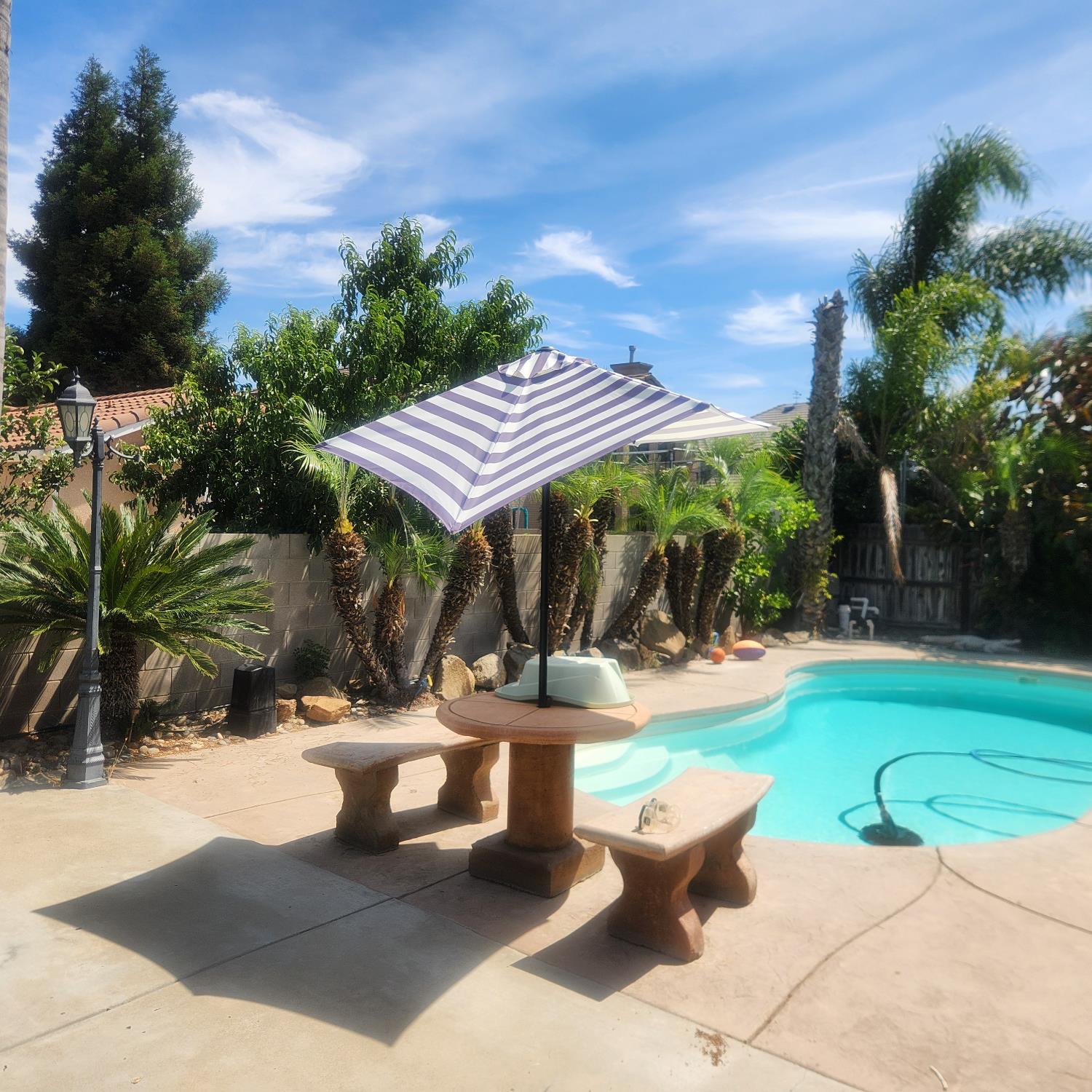 3213 Hollow Ave, Madera, CA 93637