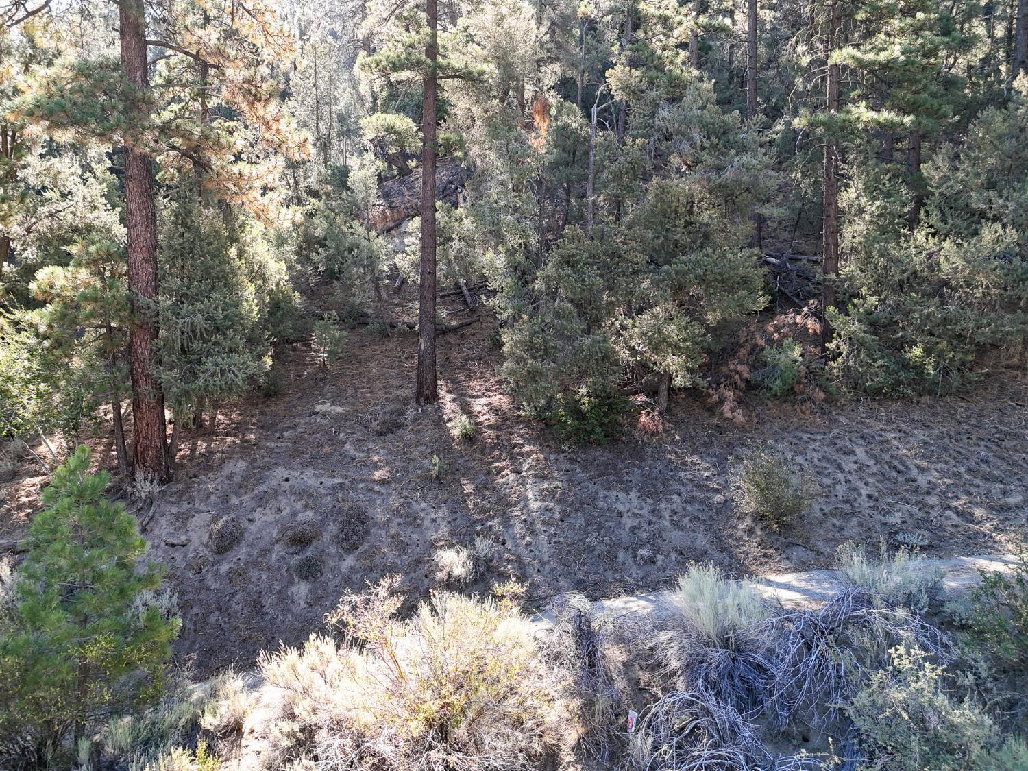 2000 Ironwood Dr, Frazier Park, CA 93222
