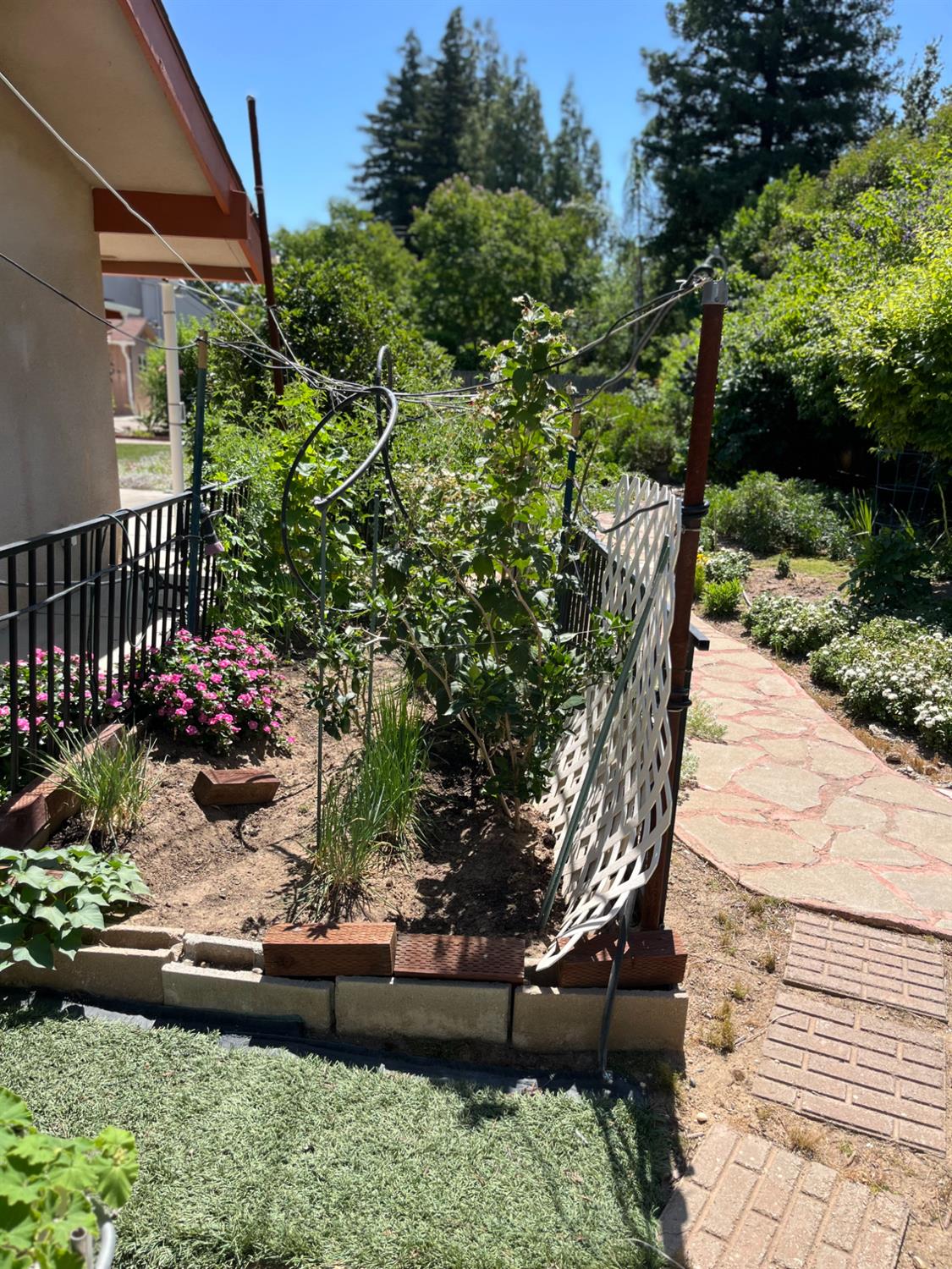 2479 W San Ramon Ave, Fresno, CA 93711