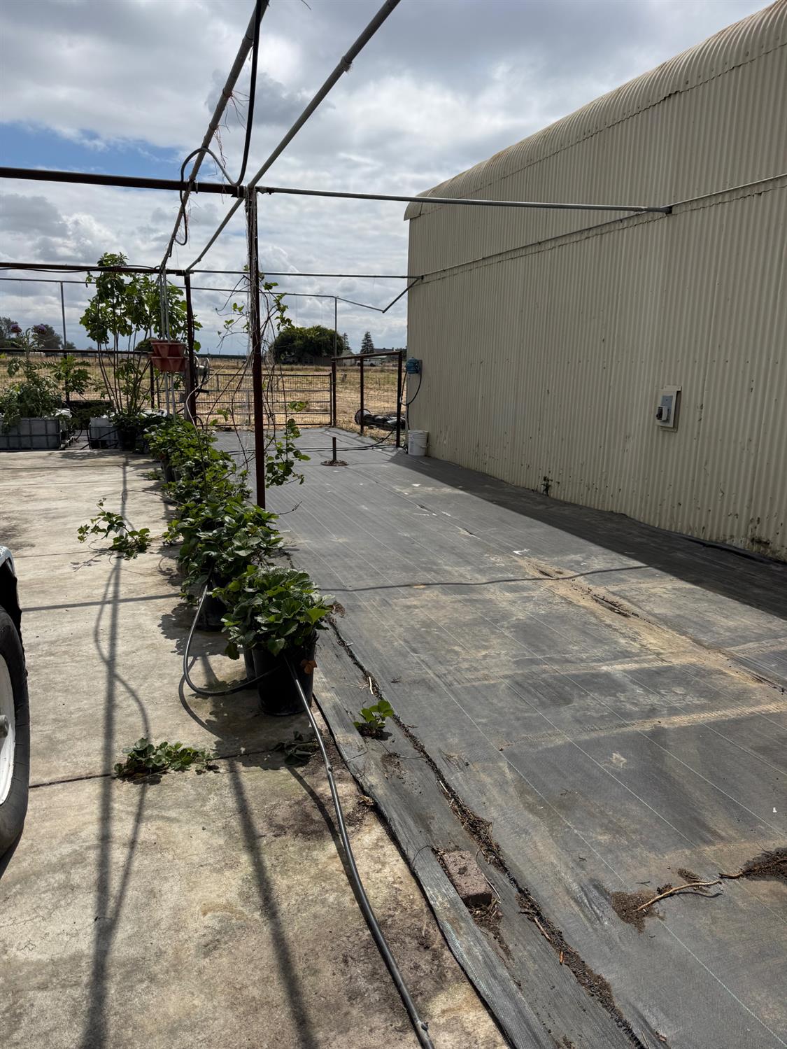 24437 Road 18 1/2, Chowchilla, CA 93610
